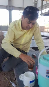 کارخانه پنیرپیتزا