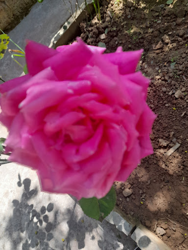 اشثزخانه