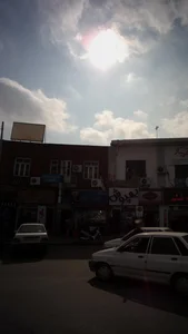 توک نیلوفران 3