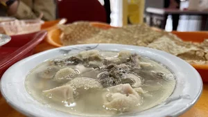 اش دوغ دلپسند اصلان