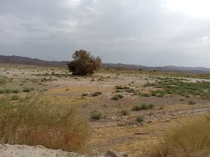 گورکایین