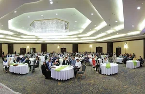 ویدان