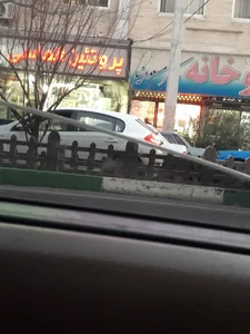 پروتئین الماسی