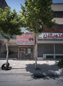 رینگ و لاستیک فرهنگ 2