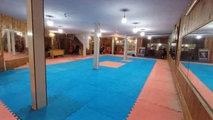 باشگاه زاگرس 2
