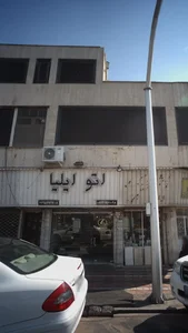 اتو ایلیا