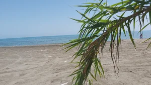 اداره منابع طبیعی تنکابن