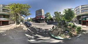 انجمن متخصصین زنان و زایمان ایران