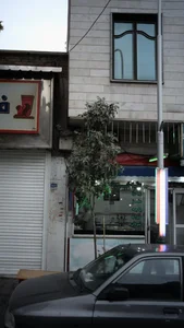 طباخی 2