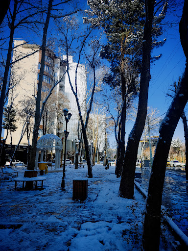 Artesh Park
