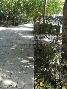 باشگاه مفاخر و پیشکسوتان دانشگاه فردوسی