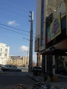 سبزی مارکت کشت سبز 3