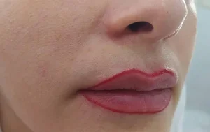 خدمات حرفه ای میکروپیگمنتیشن 5