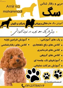 مربی سگ و رفتار شناس حیوانات 3