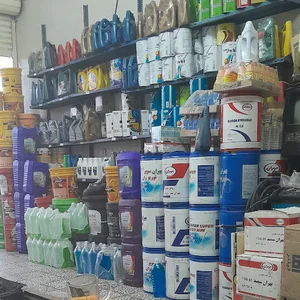 اتوسرویس طلازرین