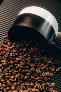 پخش قهوه عمده روستینا