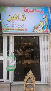پرنده فروشی شاهین