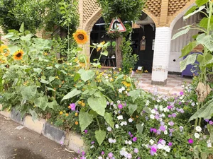 کافه بید 2