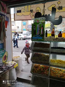 الکتریکی سجاد