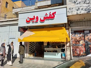 کفش وین 2