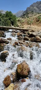 چشمه میشی (سرچشمه)