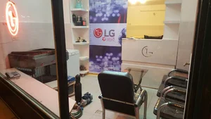 بوش