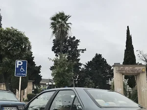 بوستان ولایت