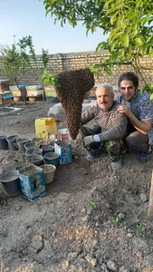 پرورش زنبور حاج رضا قمی