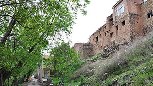 روستا طامه