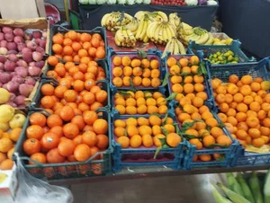 میوه فروشی چهار فصل سیب سبز 5