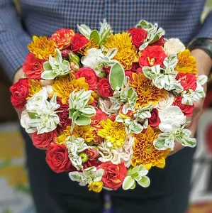 گلسرای رزلند