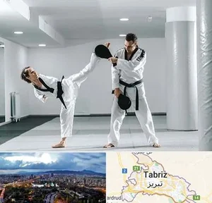 آموزش کیک بوکسینگ و mma