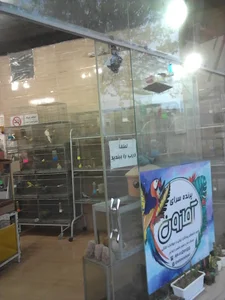 محمد مهدی نسب
