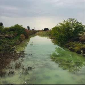 پلنگی زروان
