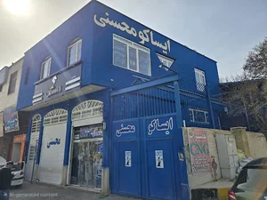 ایساکو محسنی