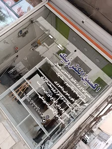 اکسین الکترونیک