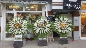 گلکده‌ی بونسای