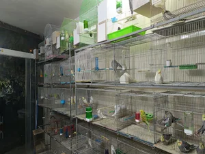 پرنده سرای جواد