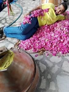 گلابگیری بهار