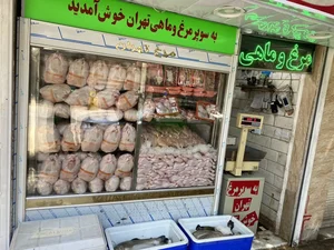 فروشگاه مرغ تهران آقائی 3