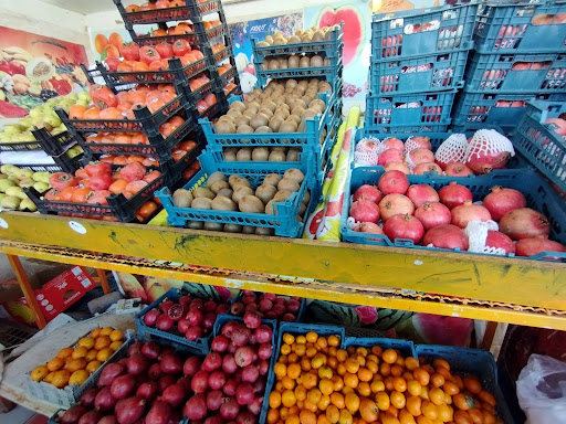 میوه سرای رضا