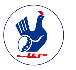 شرکت مرغک