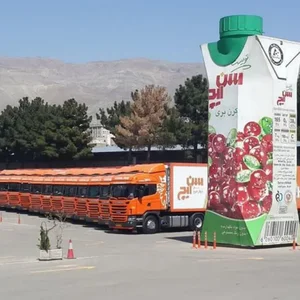 شرکت پخش سایه سمن،(سن ایچ) 2