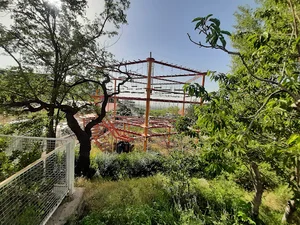 دفتر روابط عمومی - پل معلق شیشه ای