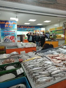 ماهی سرای ناخدا