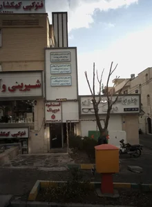 دکتر بهاره سادات لاجوردی