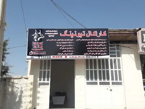 کاراکال تیونینگ