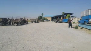 شرکت زرین دانه طهماسبی