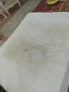 مبل شویی گل رز 4