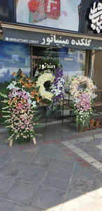 گلکده مینیاتور